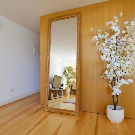 Garden Luxury House Downtown With Ac * Porto